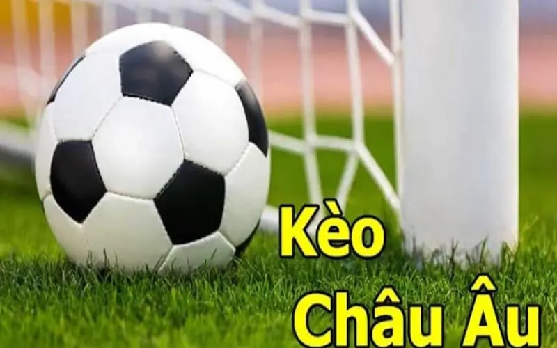 Kinh nghiệm cá cược kèo châu Âu chiến thắng